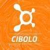 Orangetheory Fitness Cibolo, TX #0713