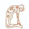 Baltimore Hot Yoga and Wellness