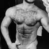 Sharp Physiques