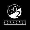 Oxygen Yoga & Fitness - Yorkdale