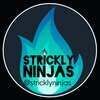 StricklyNinjas LLC
