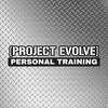Project Evolve