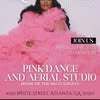 Pink Poles Studio - Atlanta