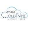 Studio Cloud Nine Aerial Fitness