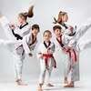 Hansoo Taekwondo Academy