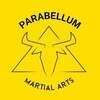 ParaBellum Martial Arts & Strength