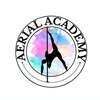 The Aerial Pole Academy