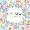 SPENGA - Saginaw