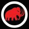 Mamute Martial Arts Academy