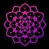 One Heart - Yoga & Apothecary