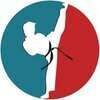 KARATE KID MARTIAL ARTS