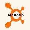 Orangetheory Fitness Marana, AZ #1090