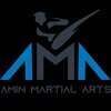 Amin Martial Arts