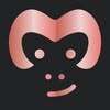 Dance Monkey Official
