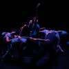Fem Dance Co.