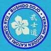 Bushido Dojo Venezia