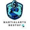 Martial Arts Best Of Wien