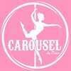CAROUSEL Aerial Arts & Fitness