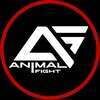 Animal Fight Gym
