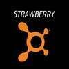 Orangetheory Fitness Strawberry Village CA#0699