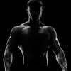 BIGWOOD Fitness