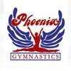Phoenix Gymnastics LI