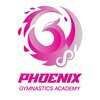 Phoenix Gym Academy