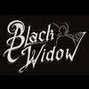 Black Widow Pole Studio