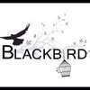 Blackbird Fitness and Nutrition