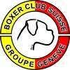 Boxer Club Genève