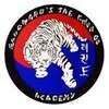 Woodward's Taekwondo Academy