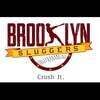 Brooklyn Sluggers Premier Sports Facility