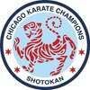 Chicago Karate Champions