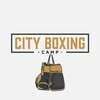 City Boxing Camp