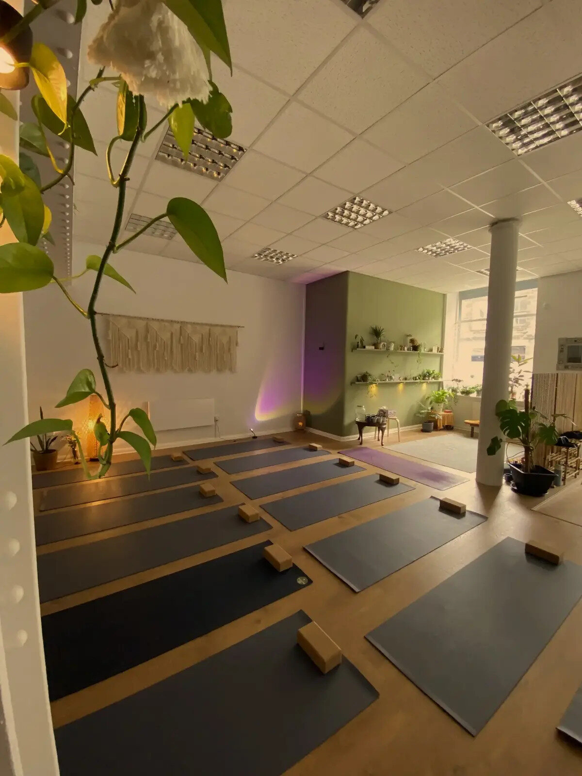 The Yoga Shala