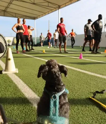 Johnny O's Gymnasium