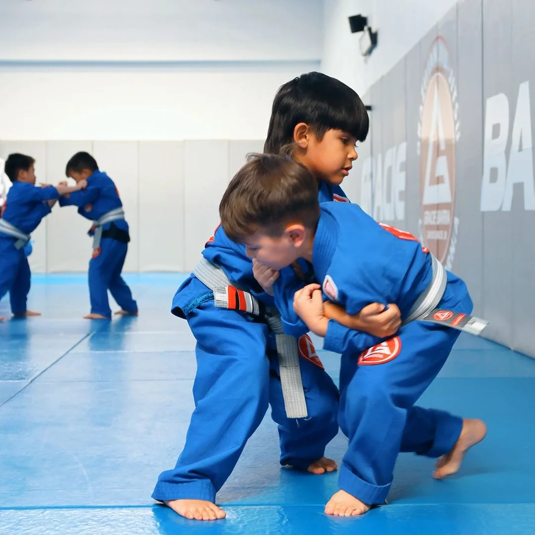 Gracie Barra Libertyville