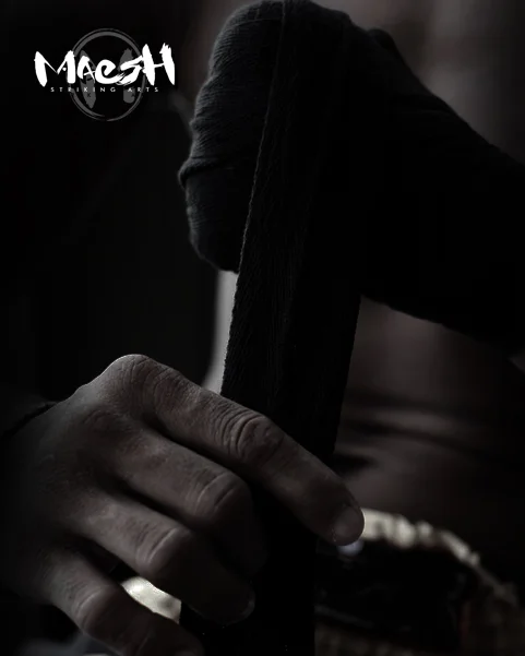 Maesh Striking Arts