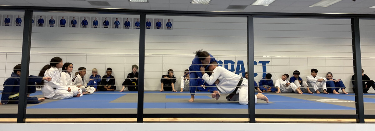 Impact Jiu Jitsu