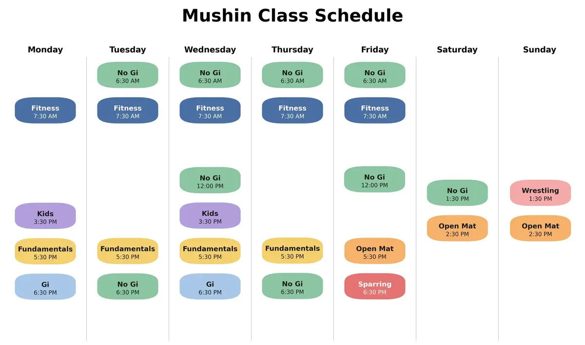 Mushin Mixed Martial Arts
