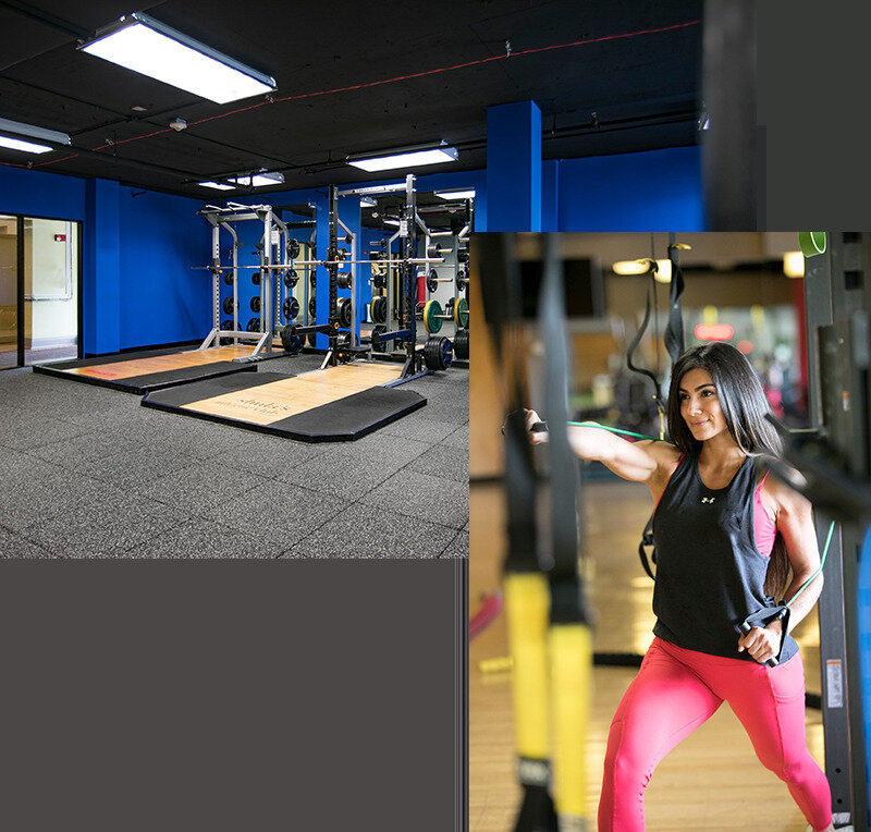 Knockout Miami Lakes