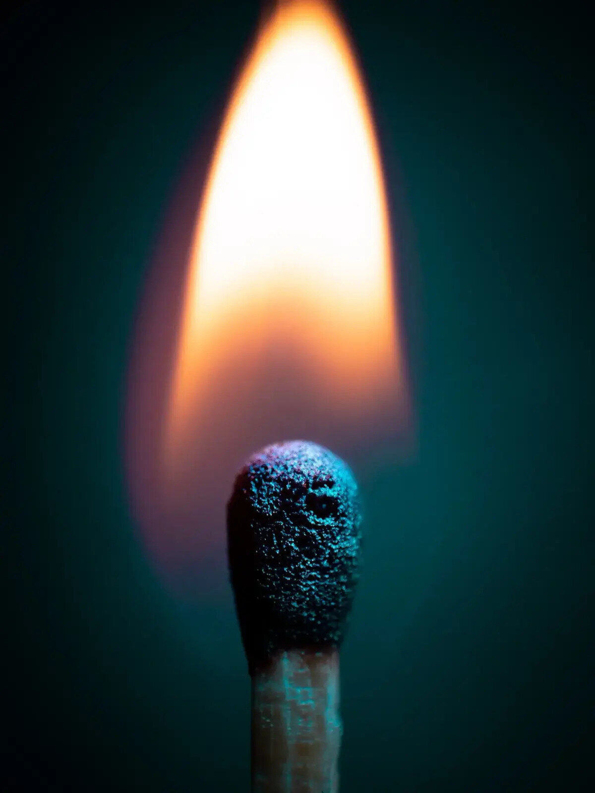 Green Mountain Shakti