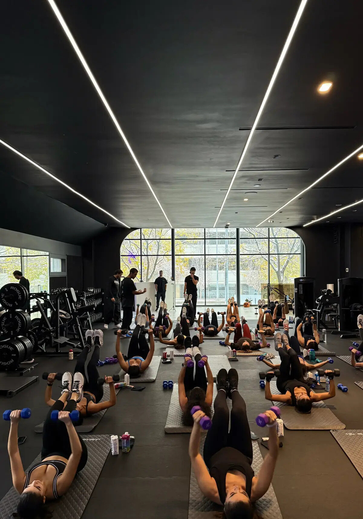 Sore & Fit - Yorkville