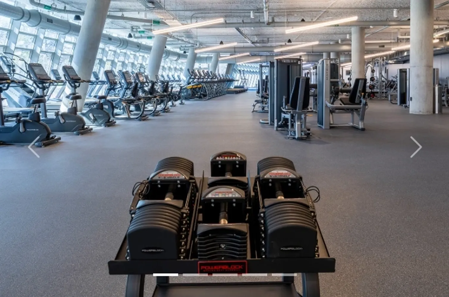 The Fitness Center at Skyview 6