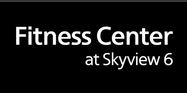 The Fitness Center at Skyview 6
