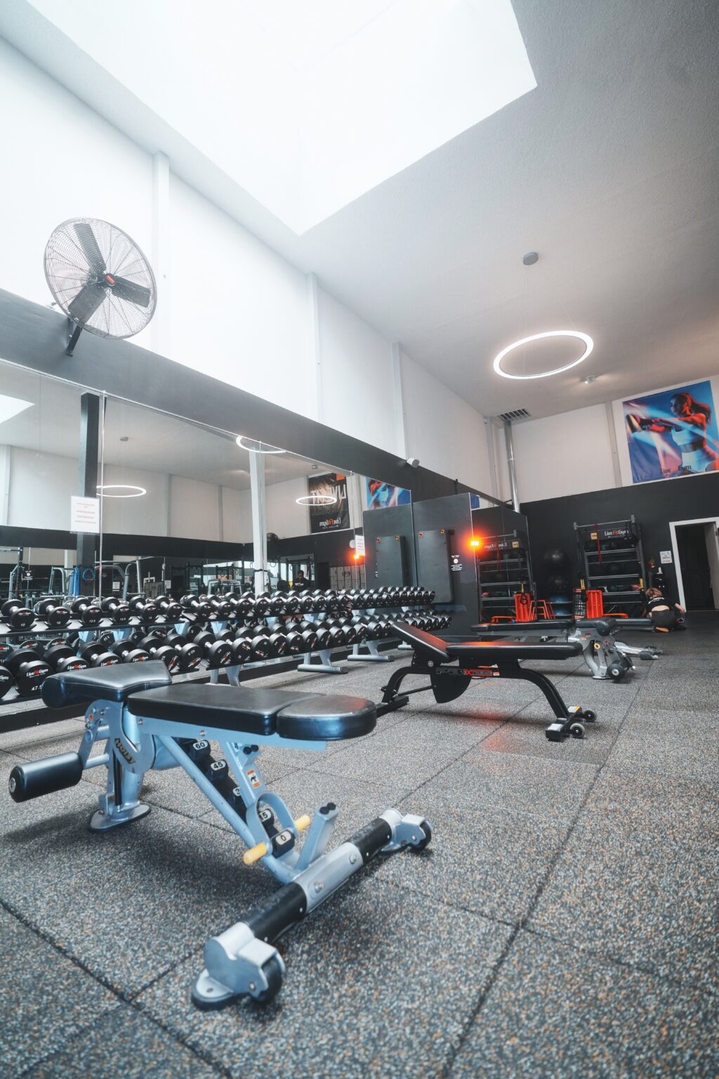 Live Fit Gym Inc, Polk St