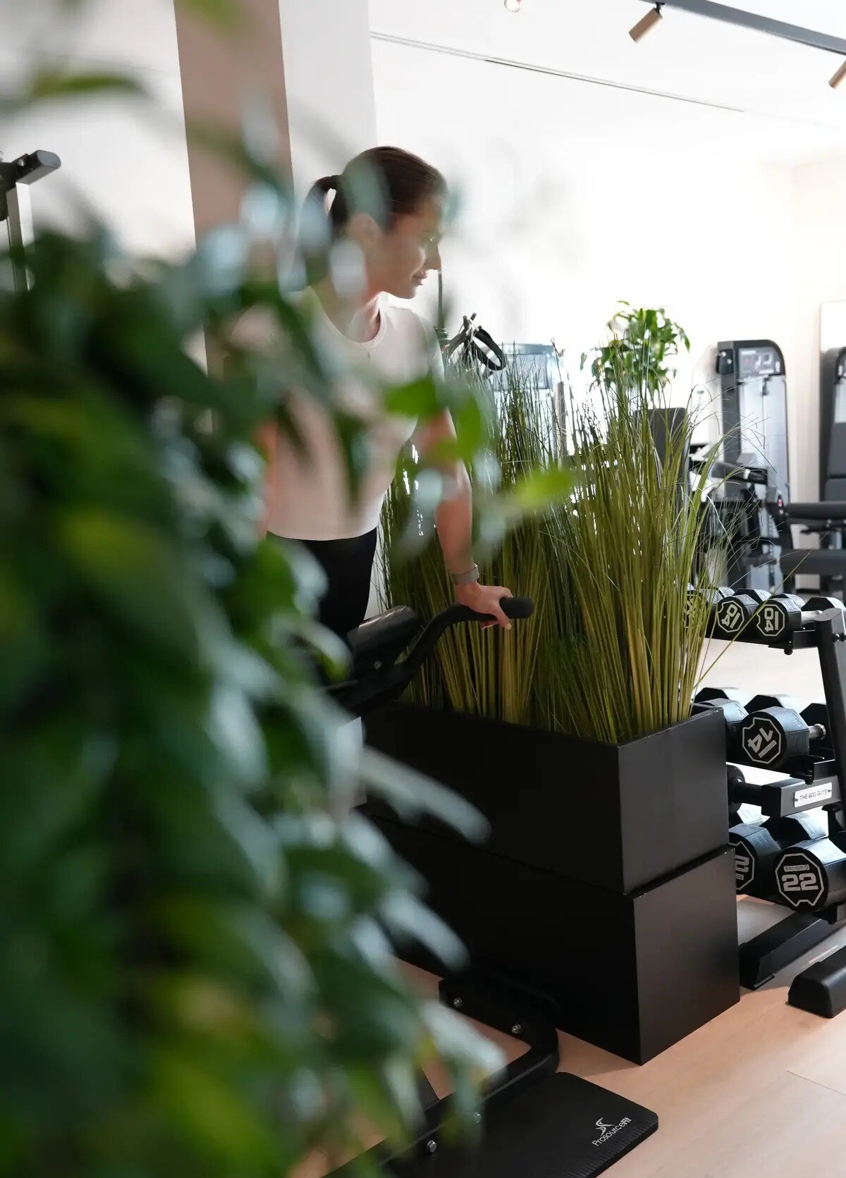 HALM Collective Wellness Club LLC