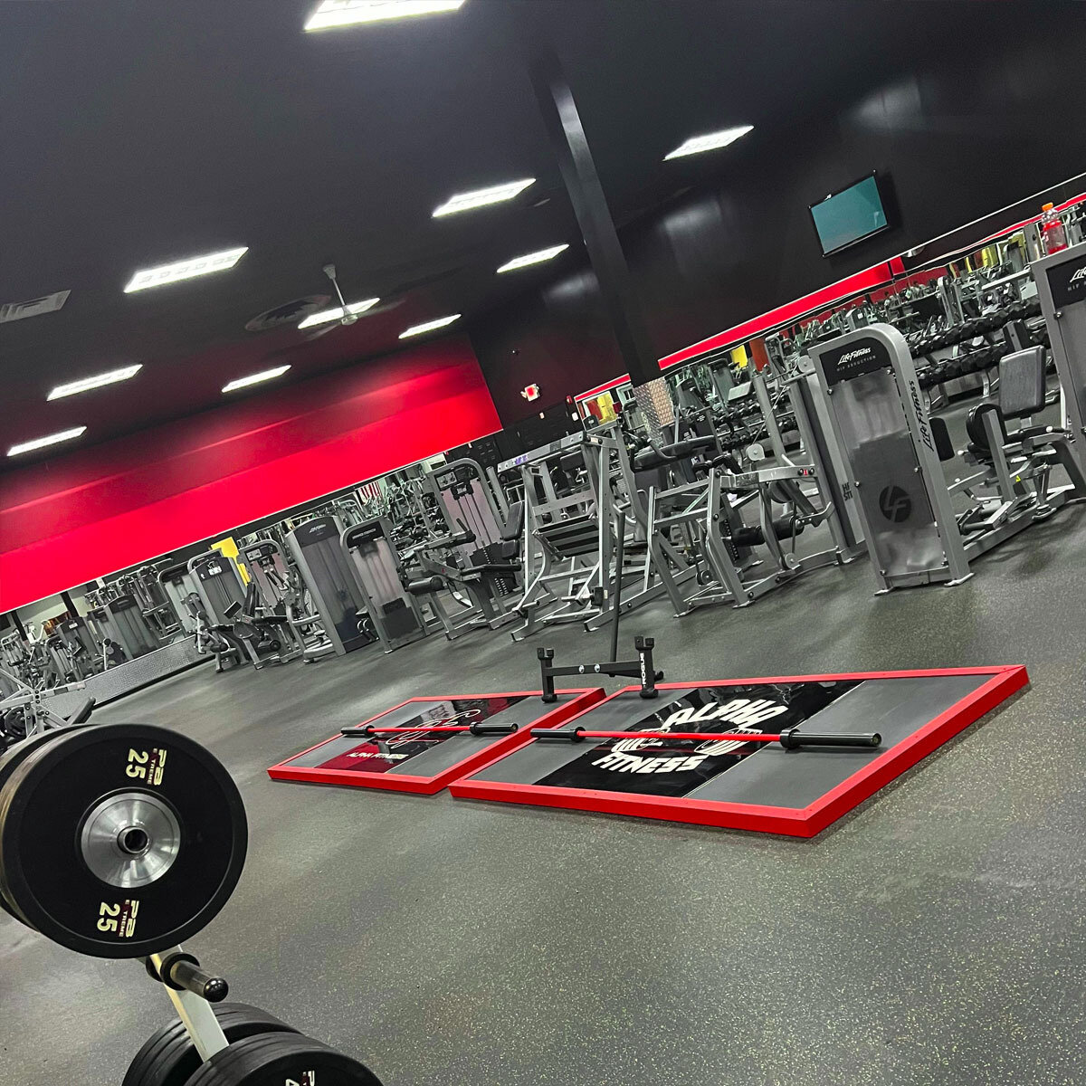 Alpha Fitness