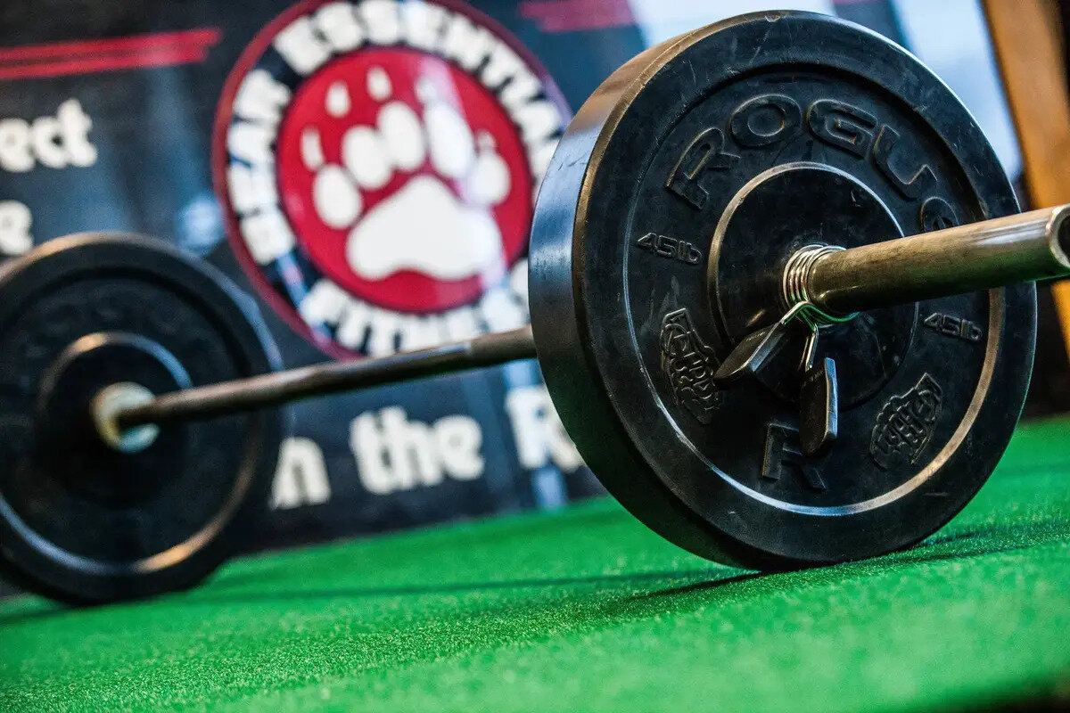 Bear Essentials Fitness
