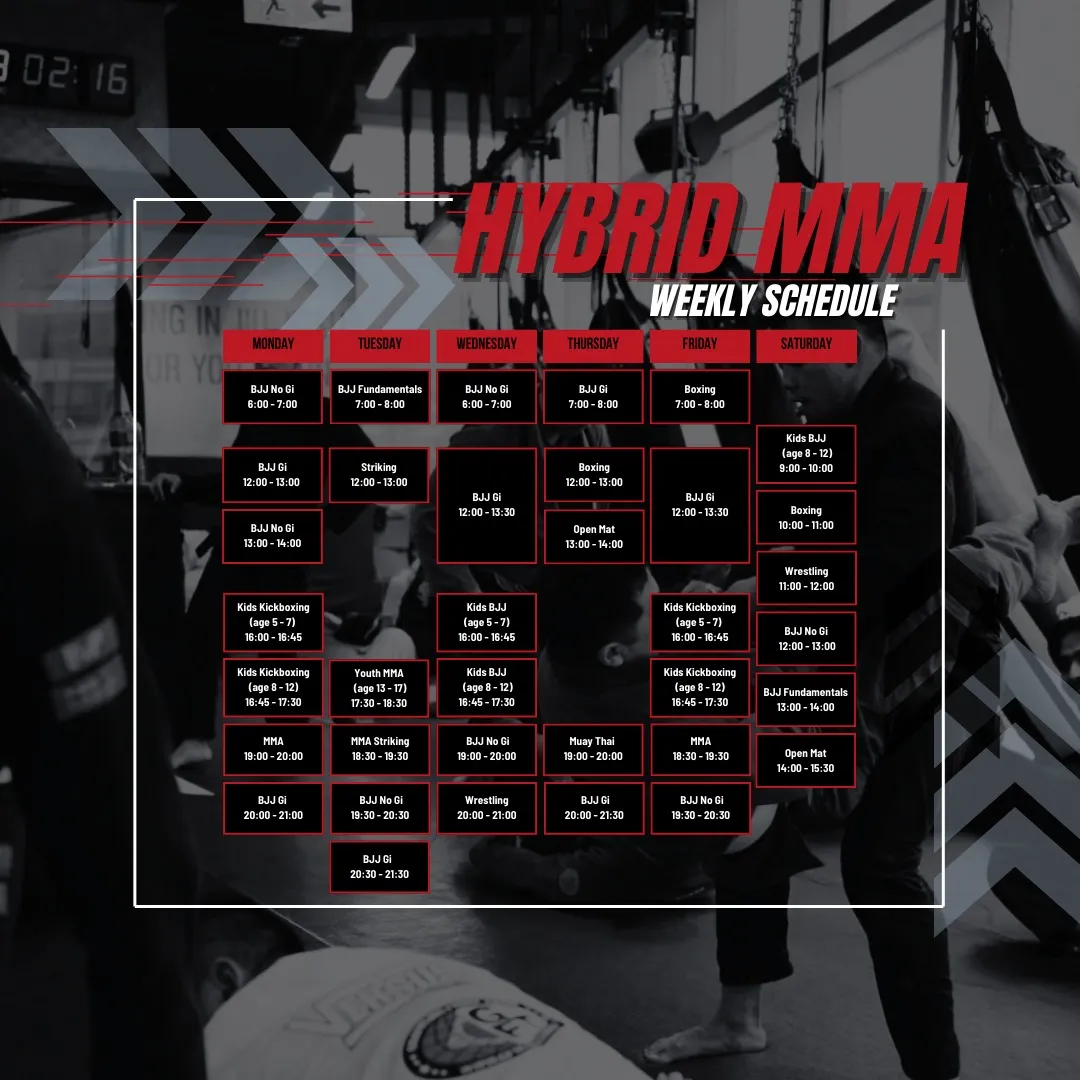 Hybrid MMA
